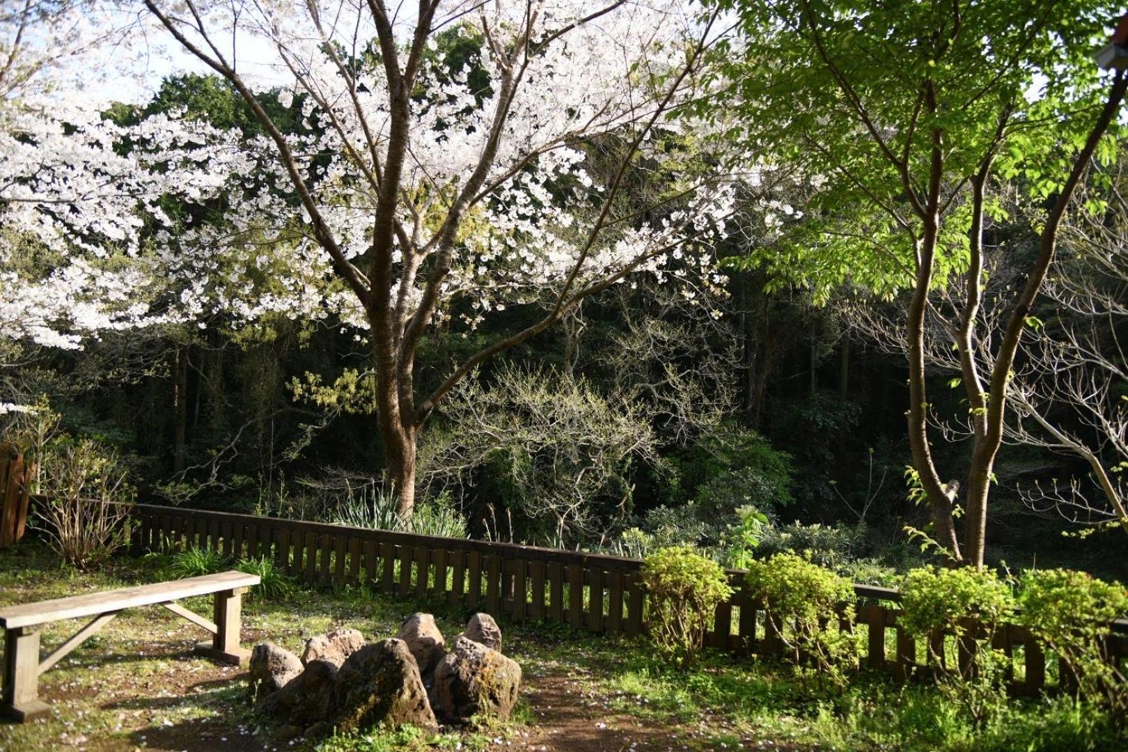 Sunny Side Cottage Shimoda  Ngoại thất bức ảnh
