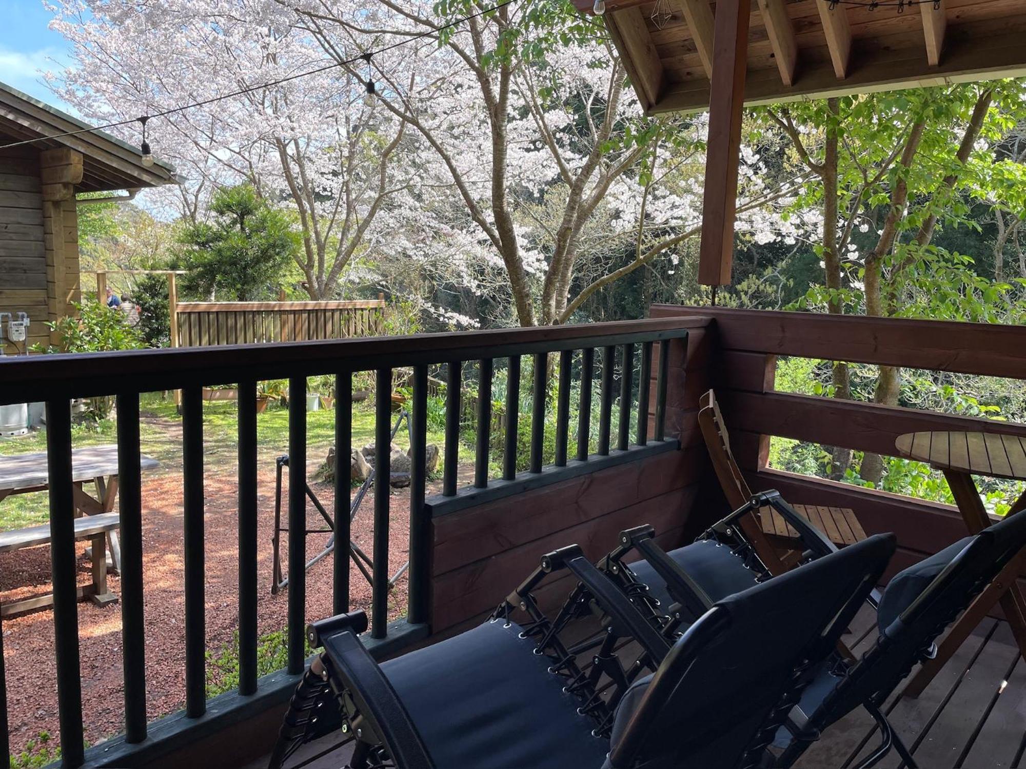 Sunny Side Cottage Shimoda  Ngoại thất bức ảnh