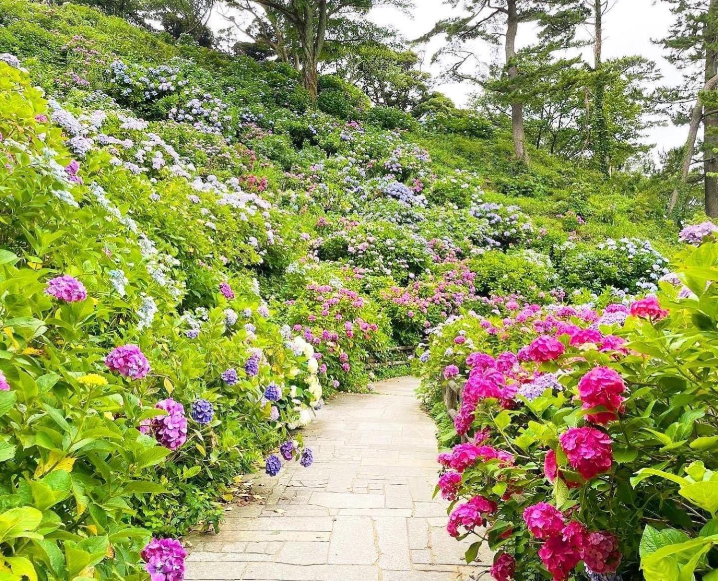 Sunny Side Cottage Shimoda  Ngoại thất bức ảnh