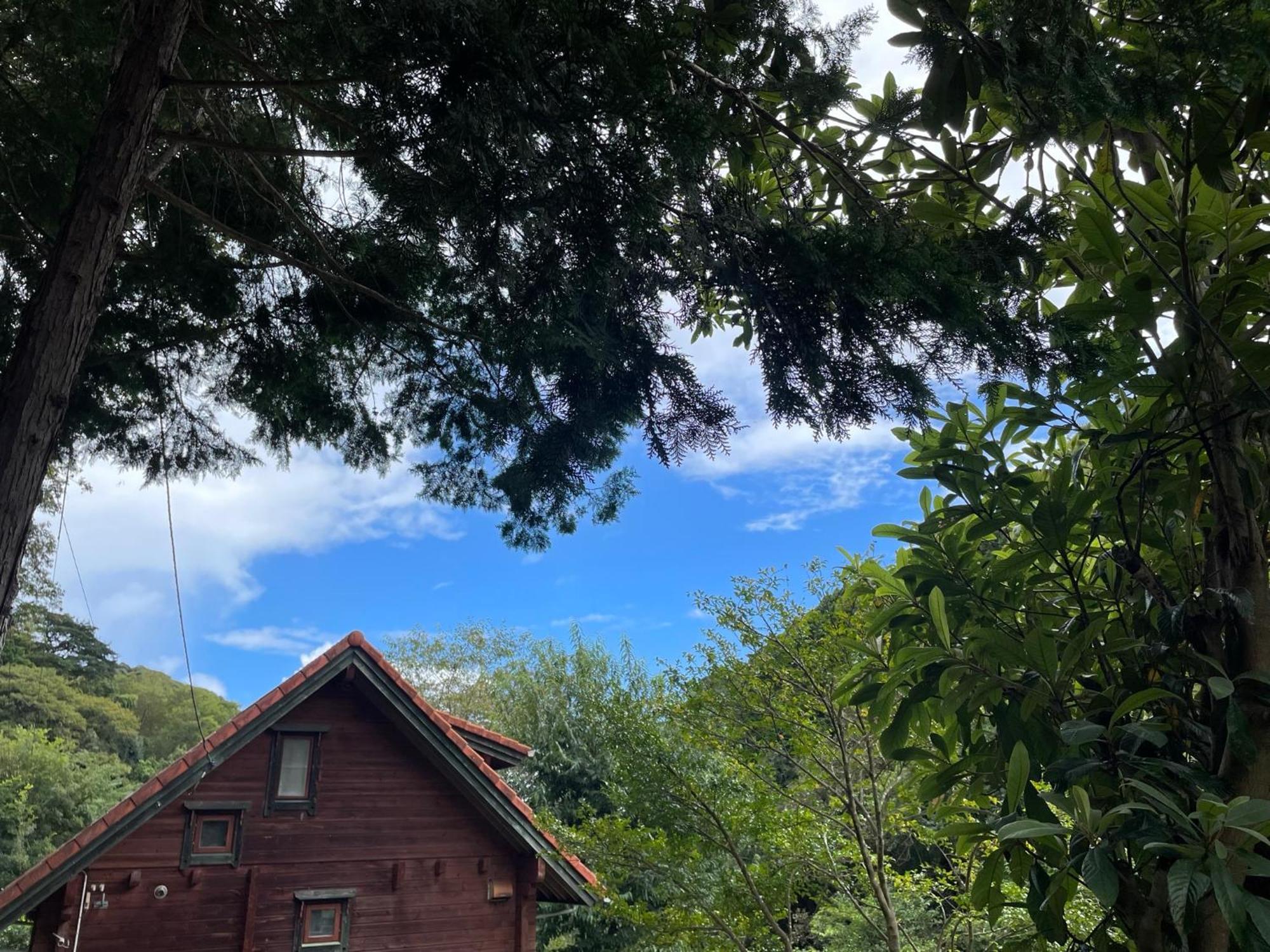 Sunny Side Cottage Shimoda  Ngoại thất bức ảnh